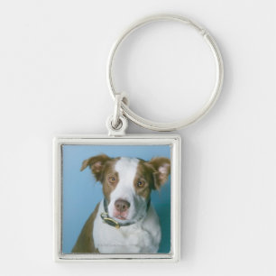 Een hond sleutelhanger