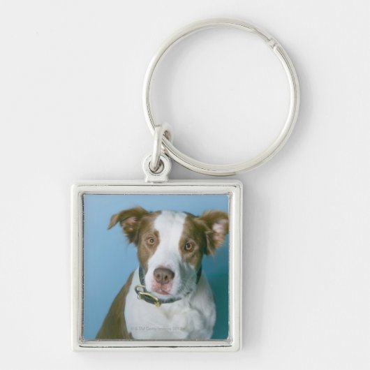 Een hond sleutelhanger (Voorkant)