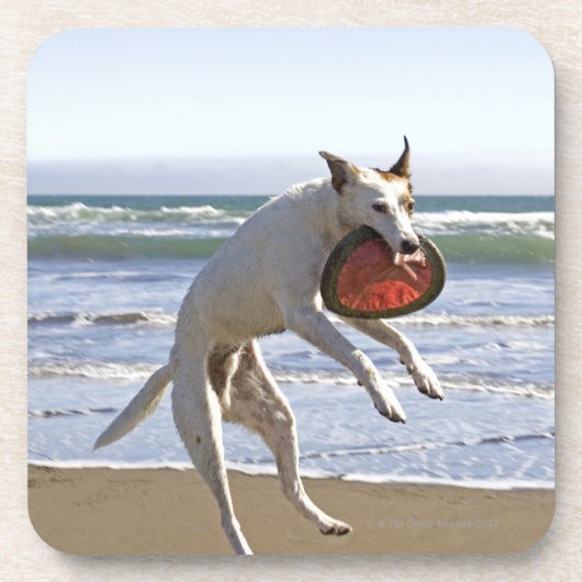 Een hond springt naar een frisbee op het strand bier onderzetter (Voorkant)