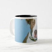 Een hond tweekleurige koffiemok (Voorkant links)