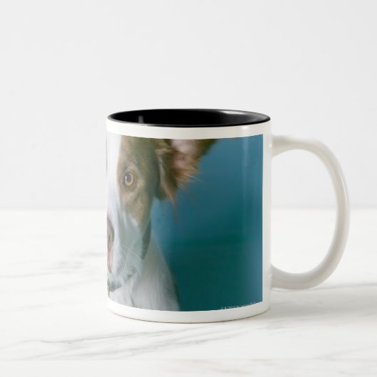 Een hond tweekleurige koffiemok (Rechts)