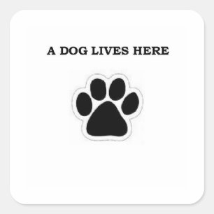 Een hond woont hier vierkante sticker