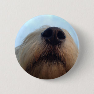 Een honden NEUS is het beste! Ronde Button 5,7 Cm