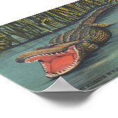 Een hongerige Alligator in Florida Poster (Hoek)
