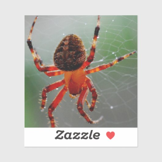 Een hongerige spin wacht sticker (Vel)