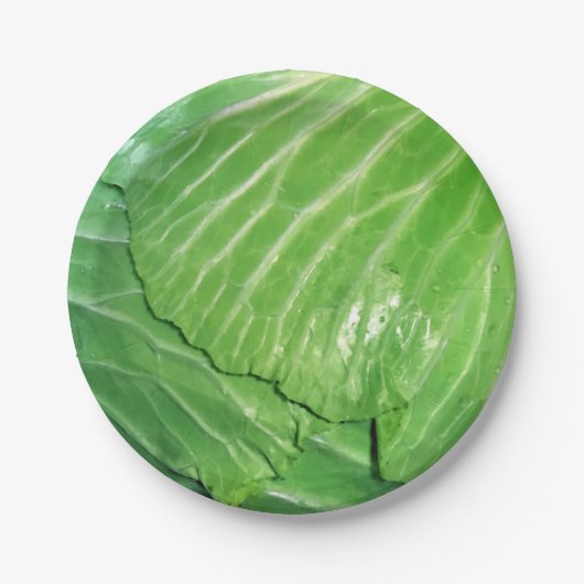 Een hoofd van de kool papieren bordje (Voorkant)