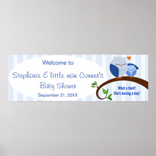 Een hoofdbord van een Baby shower Blue Owls Banner Poster (Voorkant)