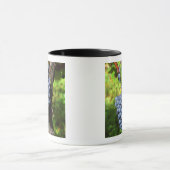 Een hoop druiven die rijp zijn voor een wijnstok m mok (Midden)