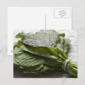 Een hoop verse mosterdgroenen van een boer briefkaart (Voorkant / Achterkant)