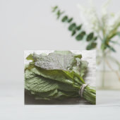 Een hoop verse mosterdgroenen van een boer briefkaart (Staand voorkant)