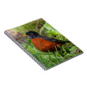 Een hoopvolle Amerikaanse Robin Notitieboek (Rechterzijde)