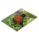 Een hoopvolle Amerikaanse Robin Notitieboek (Linkerzijde)