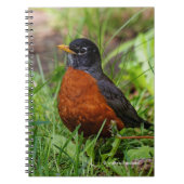 Een hoopvolle Amerikaanse Robin Notitieboek (Voorkant)