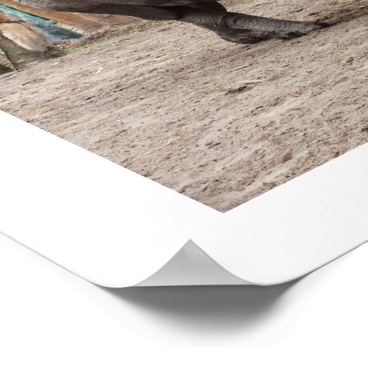 Een hoornrhino poster (Hoek)