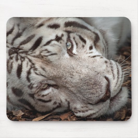 Een horloge muismat (Voorkant)