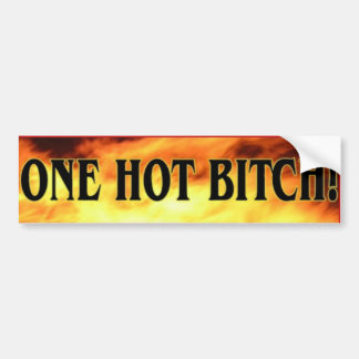 Eén hotbitch bumpersticker