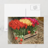 Een houten krat met tulpen briefkaart (Voorkant / Achterkant)