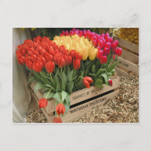Een houten krat met tulpen briefkaart
