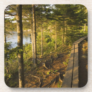 Een houten loopbrug in Acadia National Park Maine Drankjes Onderzetter