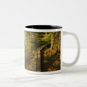 Een houten loopbrug in Acadia National Park Maine Tweekleurige Koffiemok