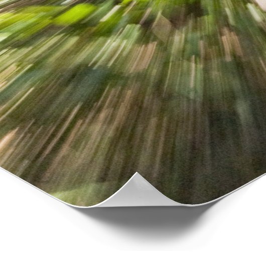 Een houten pad door het regenwoud in krullend poster (Hoek)