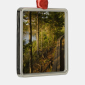 Een houten wandelweg in Acadia National Park Maine Metalen Ornament (Rechts)