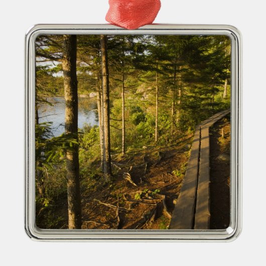Een houten wandelweg in Acadia National Park Maine Metalen Ornament (Voorkant)