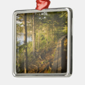 Een houten wandelweg in Acadia National Park Maine Metalen Ornament (Links)