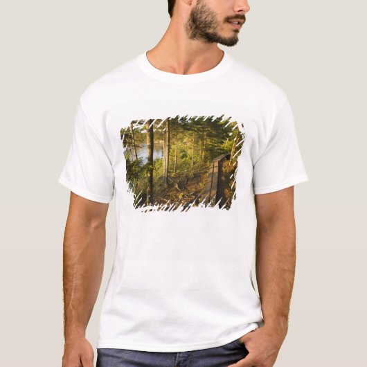 Een houten wandelweg in Acadia National Park Maine T-shirt (Voorkant)