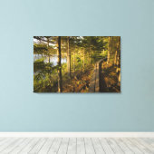 Een houten weg in Acadia National Park Maine Canvas Afdruk (Insitu (Houten vloer))