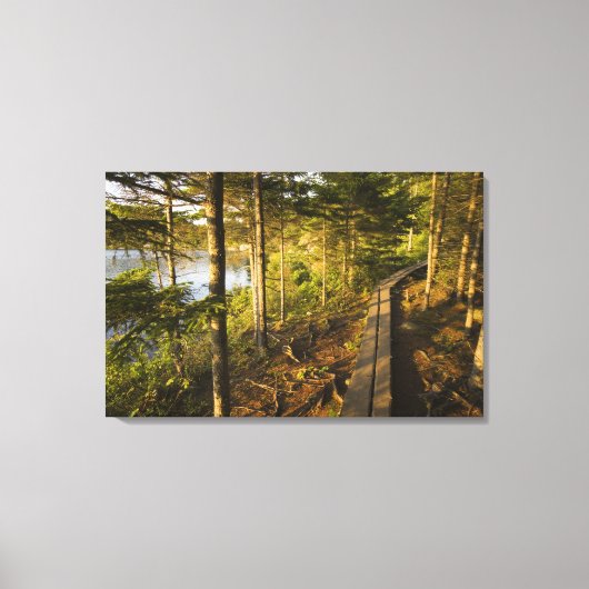 Een houten weg in Acadia National Park Maine Canvas Afdruk (Voorkant)