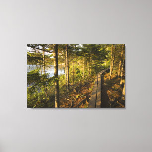 Een houten weg in Acadia National Park Maine Canvas Afdruk