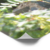 Een houtwolf bij Rest. Poster (Hoek)