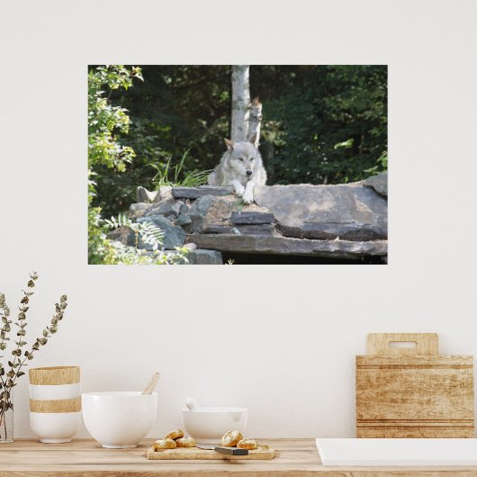 Een houtwolf bij Rest. Poster (Keuken)