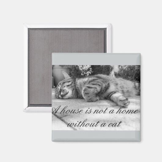 Een huis is geen huis zonder een kattenmagneet! magneet (Voorkant / Achterkant)