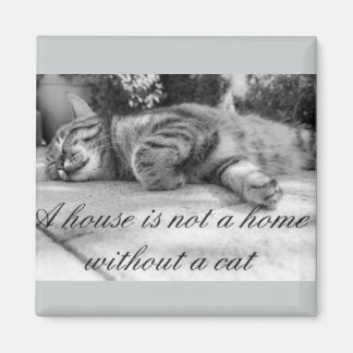 Een huis is geen huis zonder een kattenmagneet! magneet