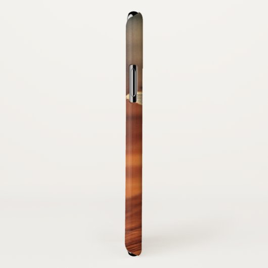 Een huis is geen thuis Chihuahua iPhone X Hoesje (Achterkant / rechts)