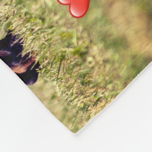 Een huis niet een thuis teckel hond fleece deken (Hoek)