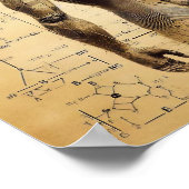 Een humanoïde bovenop een gegevensblad poster (Hoek)