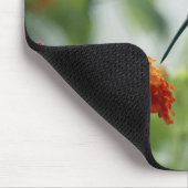 Een Hummingbird Mousepad vangen Muismat (Hoek)