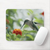 Een Hummingbird Mousepad vangen Muismat (Met muis)
