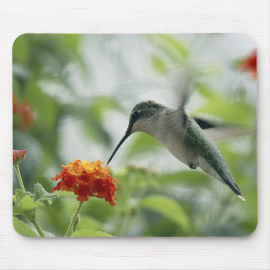 Een Hummingbird Mousepad vangen Muismat (Voorkant)