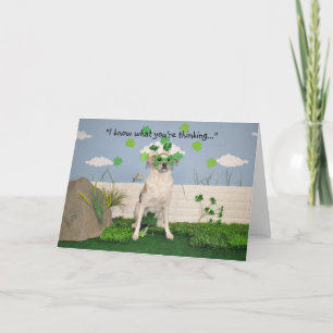 Een humoristische kaart, hond gekleed voor St de Kaart