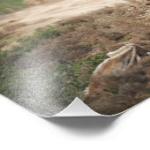 Een Humvee leidt veiligheid Foto Afdruk (Hoek)