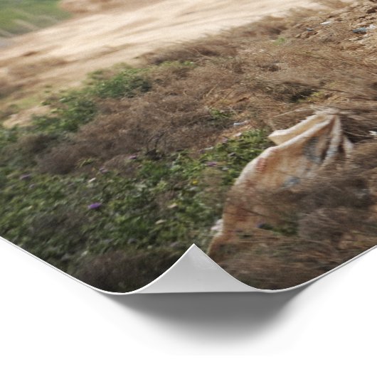 Een Humvee leidt veiligheid Poster (Hoek)