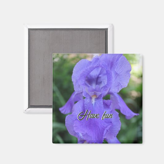 Een Ierse delicate Paarse danser Magneet (Voorkant / Achterkant)