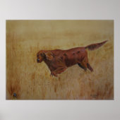 Een Ierse feestdag Poster (Voorkant)