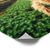 Een Ierse Sasquatch Poster (Hoek)