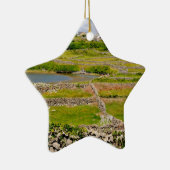 Een Ierse stenen muur Keramisch Ornament (Rechts)