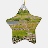 Een Ierse stenen muur Keramisch Ornament (Links)